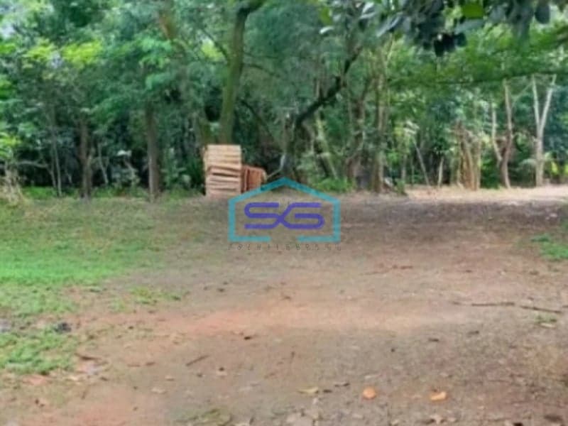 Dijual Tanah Murah Luas 170000 m² Lokasi Bebas Banjir di Balaraja Tangerang