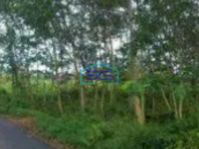 Dijual Tanah Pinggir Jalan Raya Kudus LT 12000m2