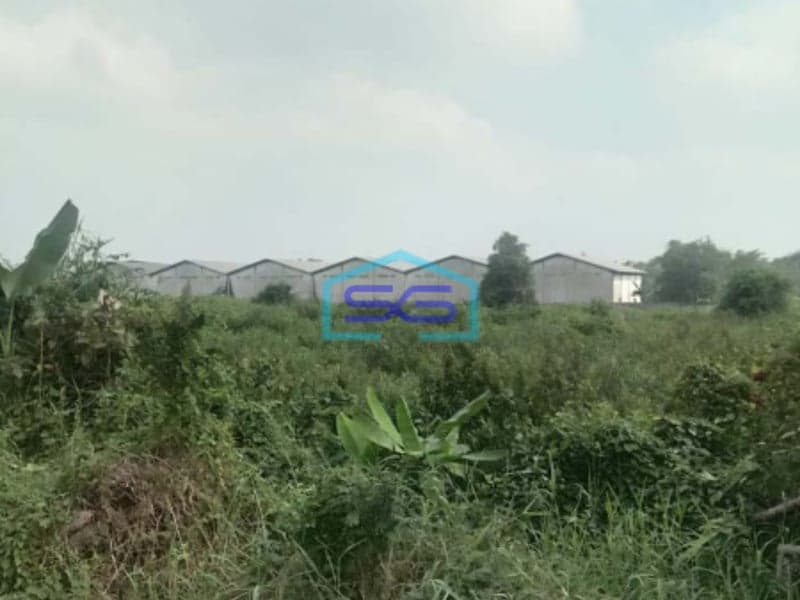 Dijual Tanah Jalan Strategis Akses Bandara Sultan Mahmud Baddarudin II Palembang