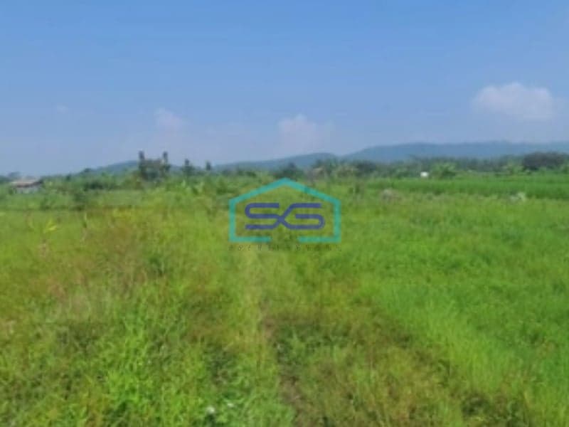 Dijual Segera Tanah 3275 m² SHM Bandongan Magelang Jawa Tengah