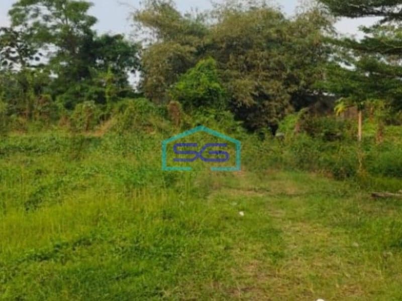 Dijual Tanah Lokasi Sangat Bagus Pinggir Jalan Utama Di Gunung Sindur Curug Bogor LT 8000m2