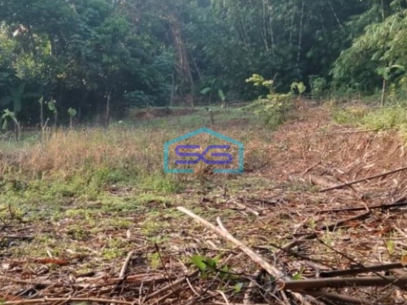 Dijual Tanah Di Mekarsari Rumpin Bogor Dengan Luas Tanah 2082m2