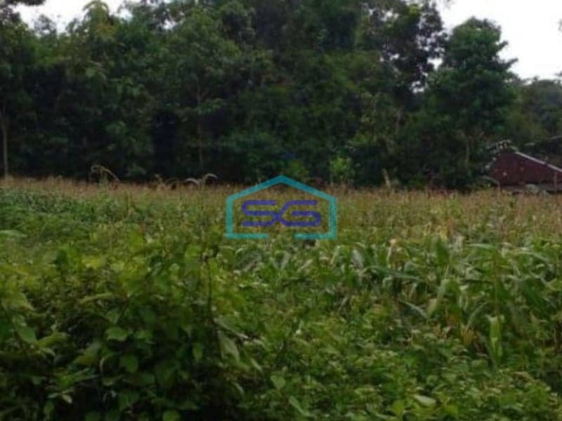 Dijual Tanah Zona Kuning Lokasi di Karanganyar LT 2003m2