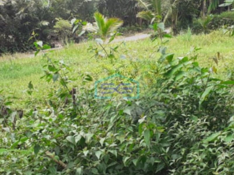 Dijual Tanah SHM di Candibinangun, Pakem, Sleman Yogyakarta LT 793m2
