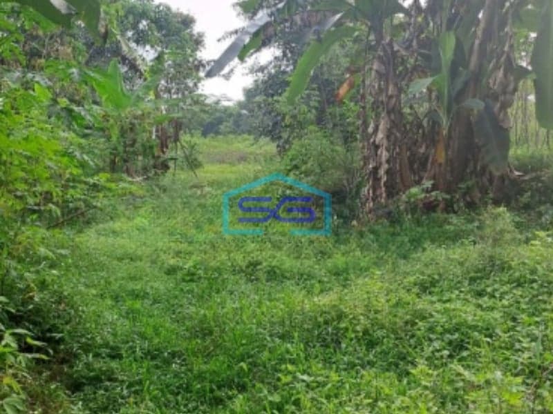 Dijual Tanah Mekar Sari Rumpin Bogor Luas 18000m2 Lokasi Bebas Banjir