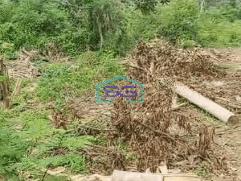 Dijual Tanah Teluk Naga Tangerang Padat Pinggir Jalan Raya Akses Kontainer 40 Feet LT 4265m2