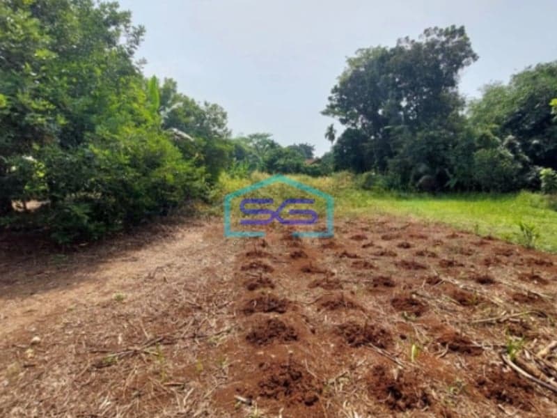 Dijual Tanah di Jalan Raya Bojong Klapanunggal Bogor LT 6166m2