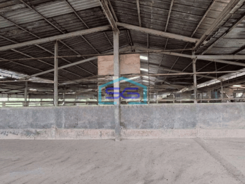 Dijual Gudang Ada Kantor Lokasi Strategis Luas Bangunan 1600 m² di Parung Panjang Bogor