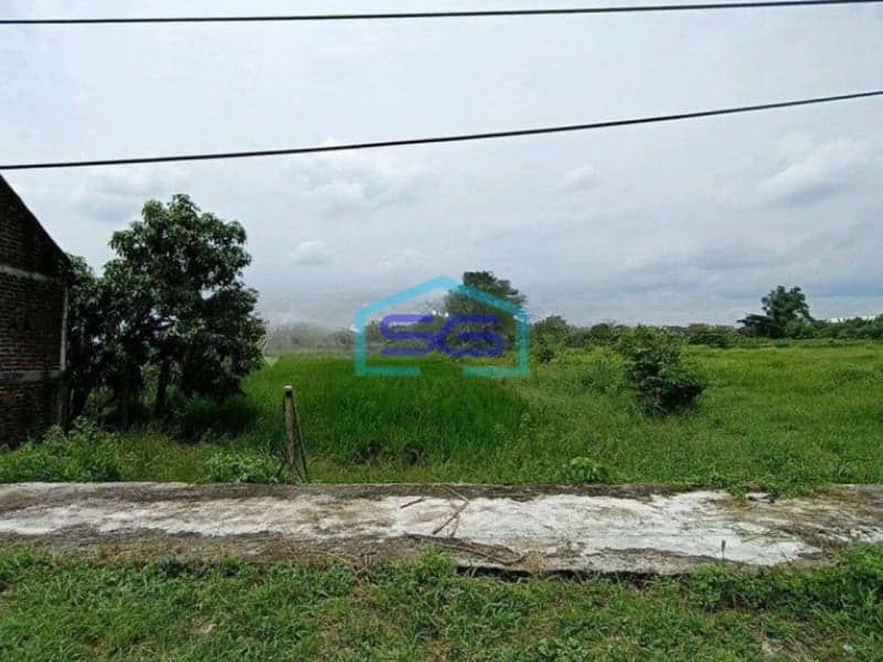 Dijual Tanah Murah Nol Jl Raya Besar Balongpanggang Gresik Cocok Untuk Pabrik Dan Gudang LT 4200m2