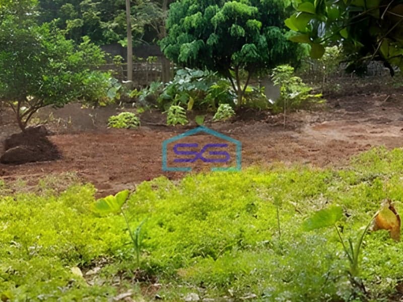 Dijual Tanah Siap Bangun Shm Luas 1480m² Di Gondoriyo Ngaliyan Semarang Barat