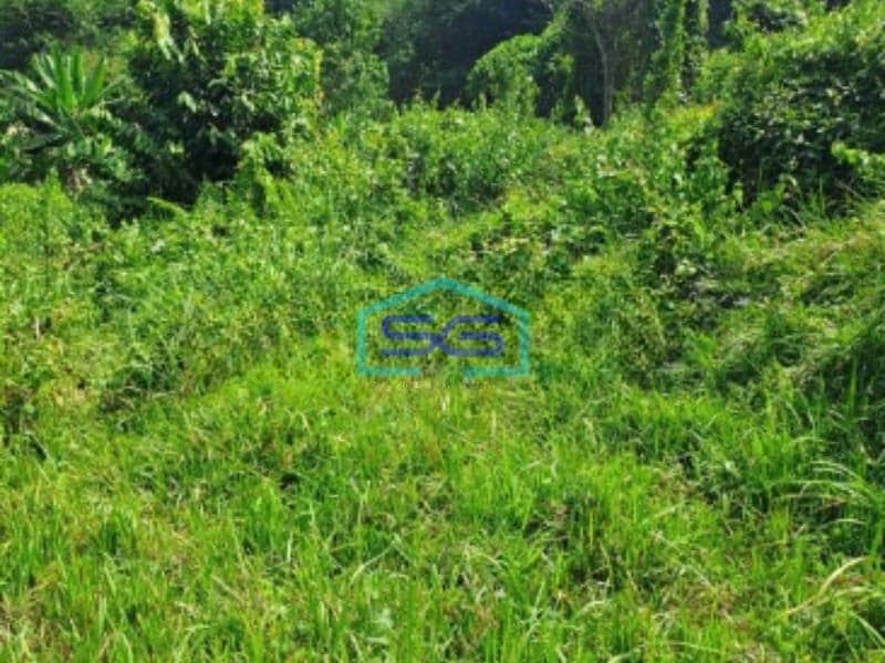 Dijual Tanah Rumpin Kabupaten Bogor Luas Tanah 12000m2