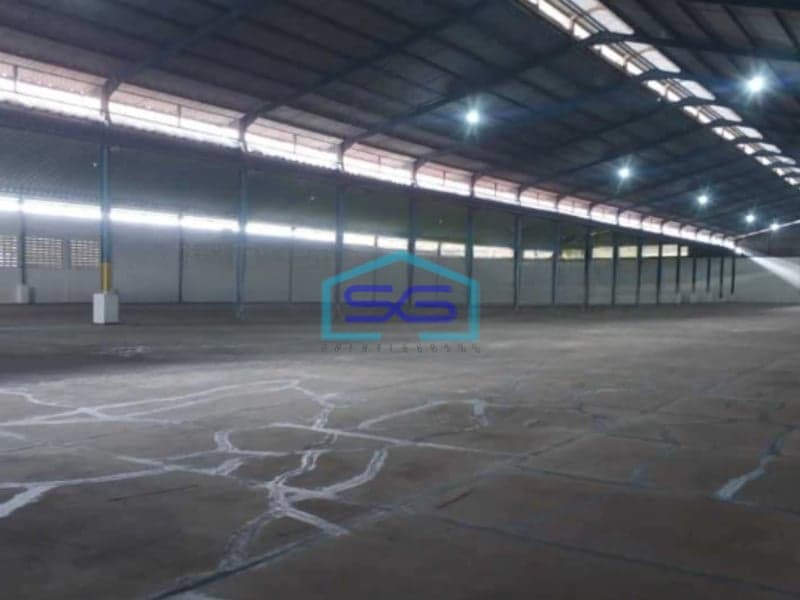Disewakan Cepat Gudang Lokasi Rangkasbitung Lebak Banten Luas Tanah  5000 m²