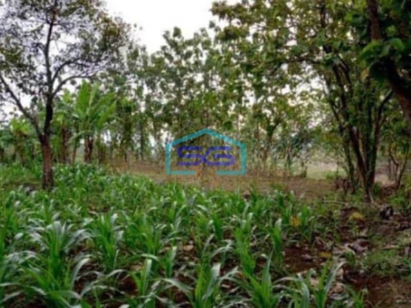 Dijual Tanah Industri Lokasi Sumberlawang Sragen Jawa Tengah Luas 65870m2