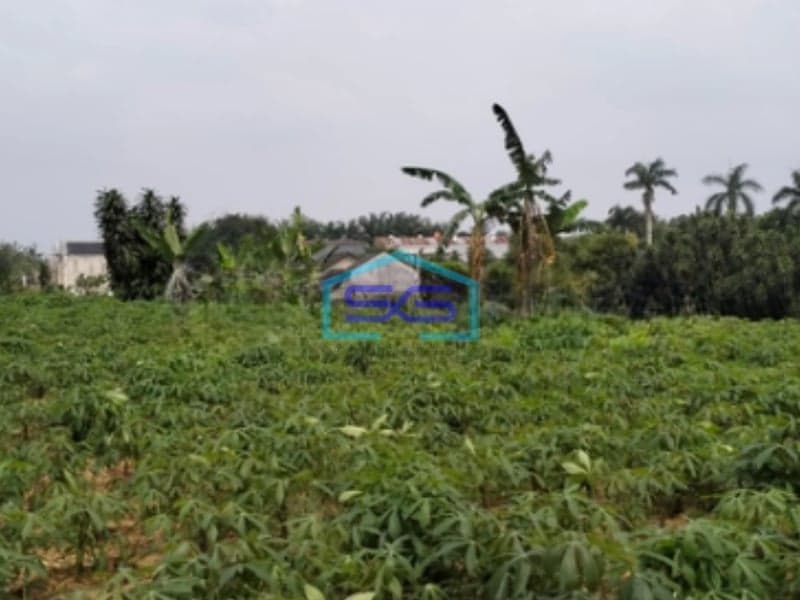 Dijual Tanah Bagus Strategis Di Tajur Halang Bogor Bebas Banjir