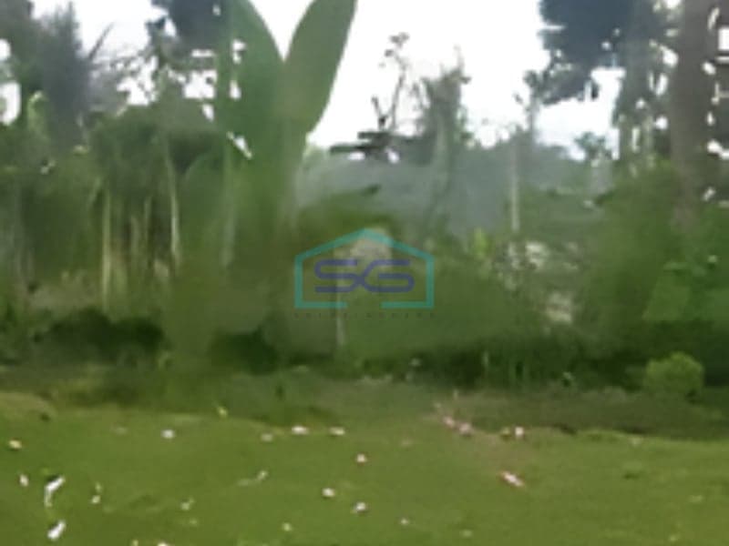 Dijual Tanah di Jalan Utama Pelaga Badung Bali Luas Tanah 19730m2