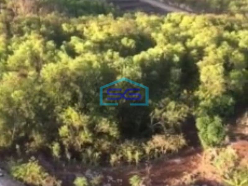 Dijual Tanah daerah Parangtritis Bantul, Yogyakarta Luas Tanah  15000 m²