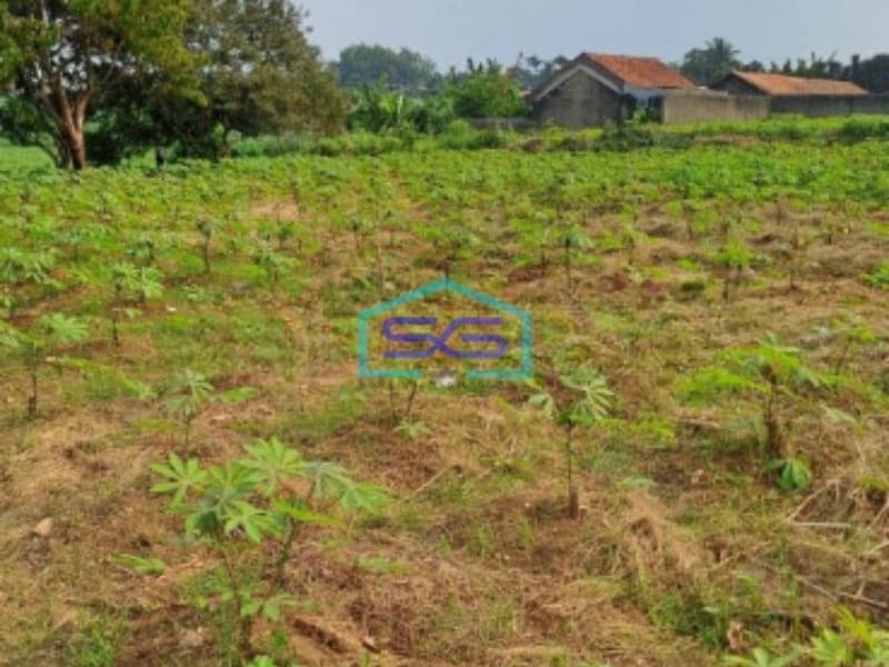 Dijual Tanah Ranca Bungur Bogor Jawa Barat Luas 50000m2