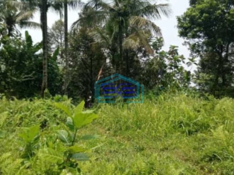 Dijual Tanah Lokasi di Pamijahan Bogor Luas Tanah 77000m2