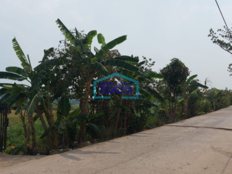 Dijual Tanah Strategis di Lokasi Pegayut Pemulutan Ogan Ilir Sumatera Selatan LT 50425m2