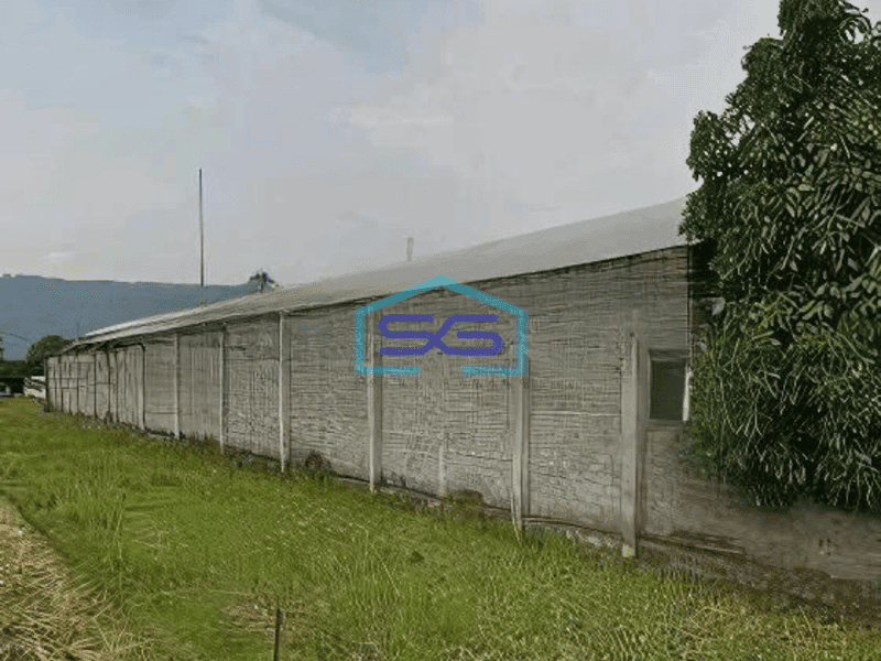 Dijual Gudang Siap Pakai di Jalan Srimulyo, Piyungan, Yogyakarta