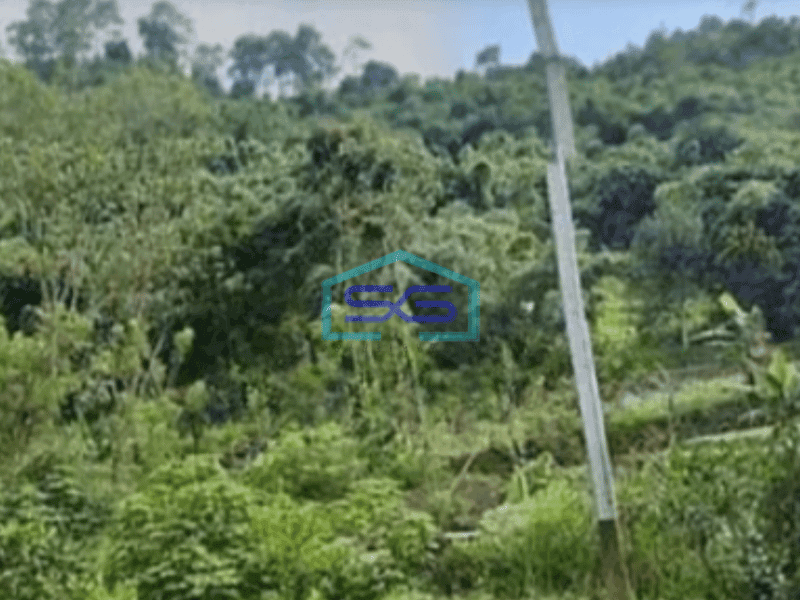 Dijual Tanah Area Prospektif Kawasan Lembang Bandung Luas 21275m²,