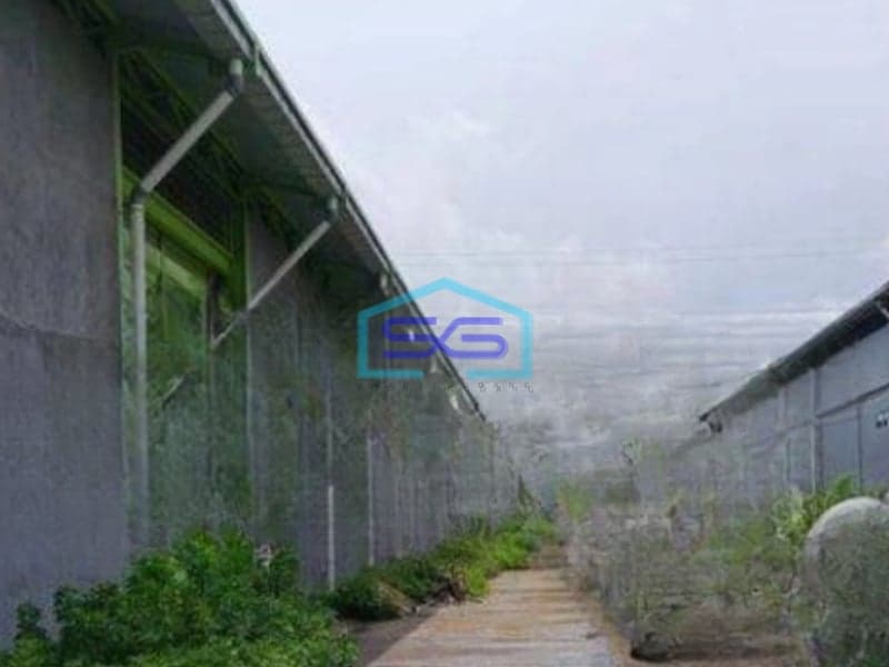 Disewakan Gudang di Bayur Sepatan Tangerang