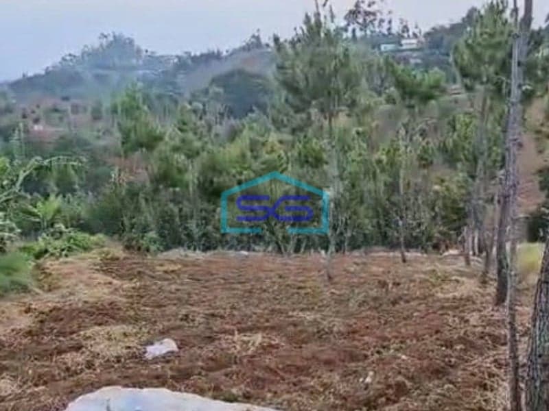 Dijual Tanah di Cimenyan Bandung Luas Tanah 16 Ha