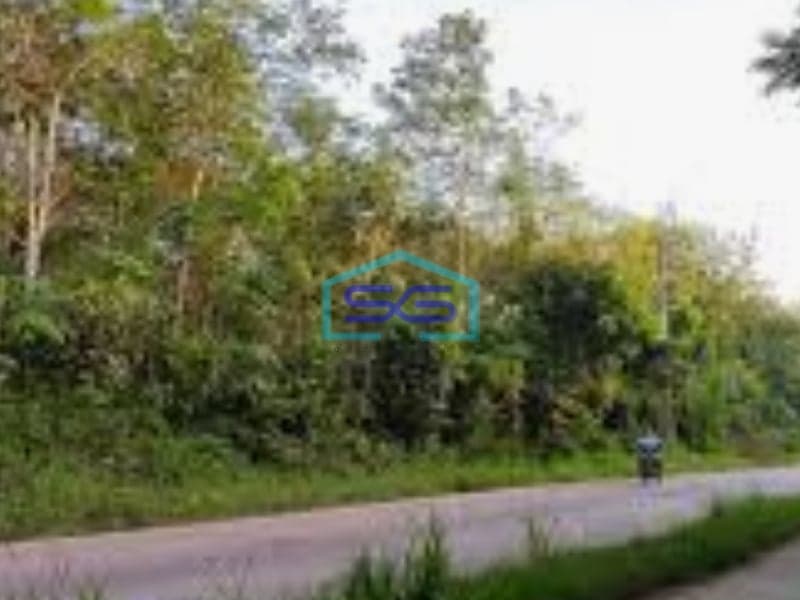 Dijual Tanah di Lingkar Prabumulih Sumatera Selatan Luas Tanah 9280m2