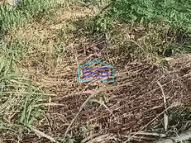 Dijual Tanah Pinggir Jalan!! di Gunung Sindur Bogor LT 5000m2