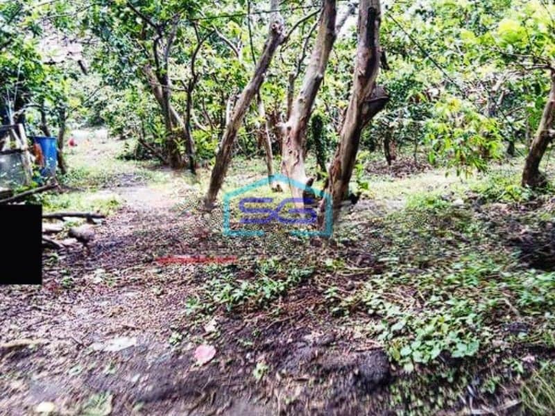 Dijual Tanah di Bumiaji Batu Luas Tanah 3081m2