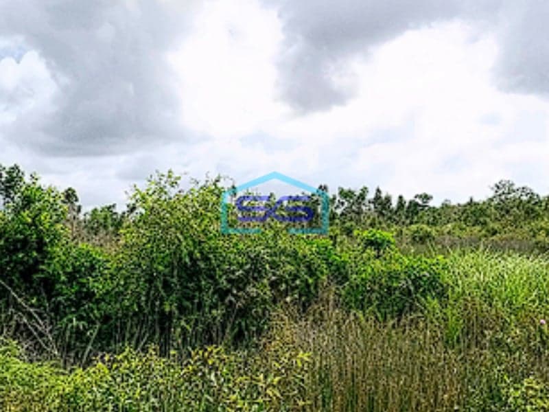 Dijual Tanah Strategis 3,1 Hektar di Pangkalan Benteng, Dekat Talang Betutu, Palembang LT 31000m2