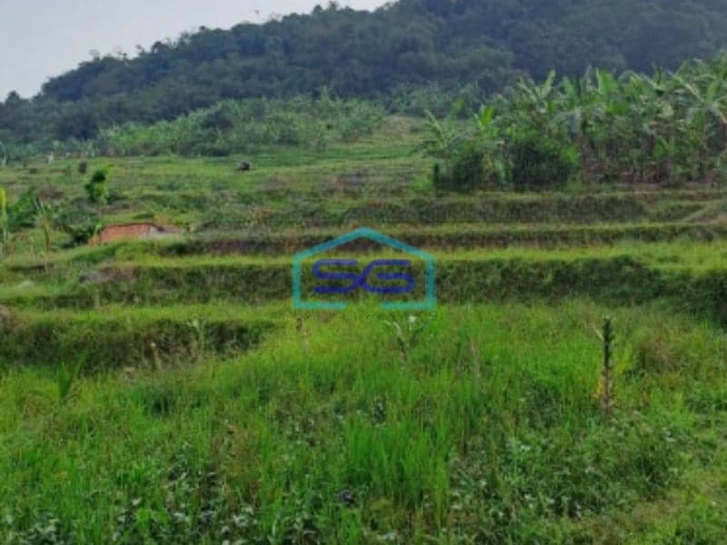 Dijual Tanah Sukajaya Jonggol Bogor Luas Tanah 170000m2