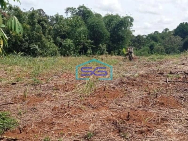 Dijual Tanah Bagus Datar Cikembar Sukabumi Luas Tanah 24000m2