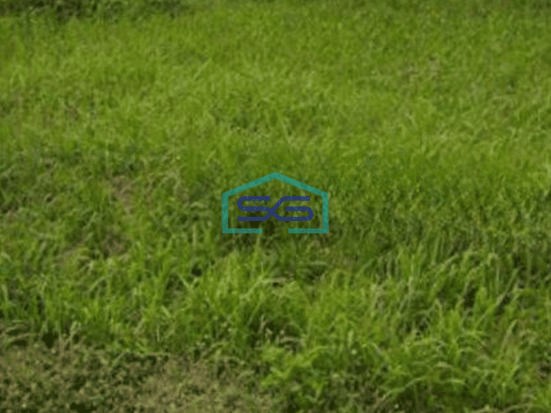 Dijual Tanah Cikupa Mas Dekat Bitung Jatake Tangerang Banten