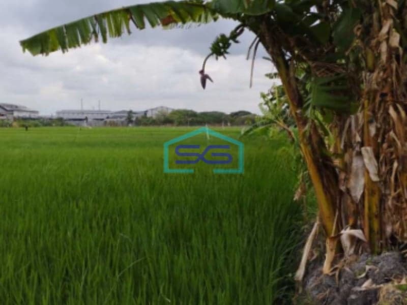 Dijual Tanah Industri Di Bambe Driyorejo Gresik Jawa Timur Luas Tanah 5030 m²