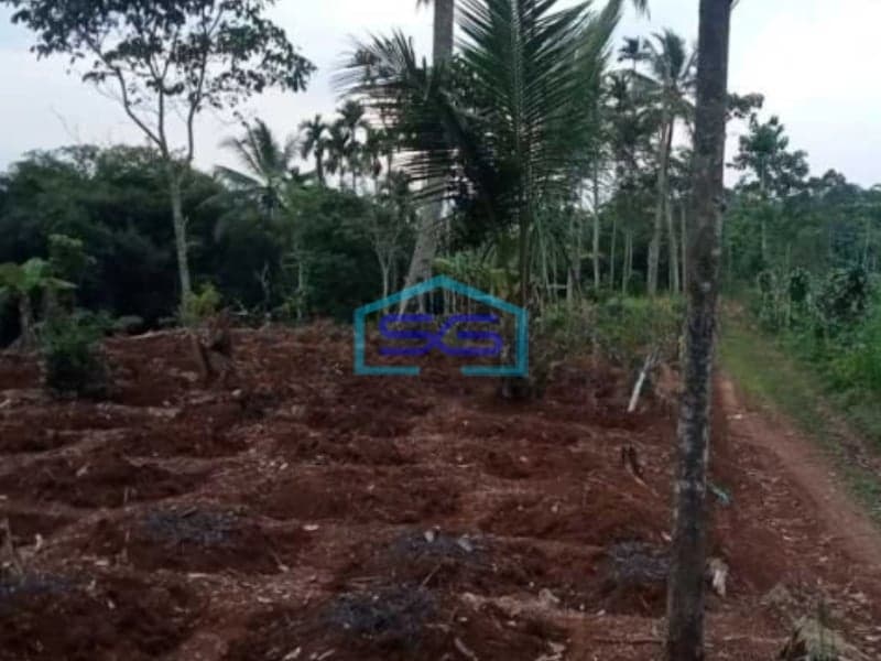 Dijual Tanah Di Sukatani Bogor Luas Tanah 200000m2 SHM