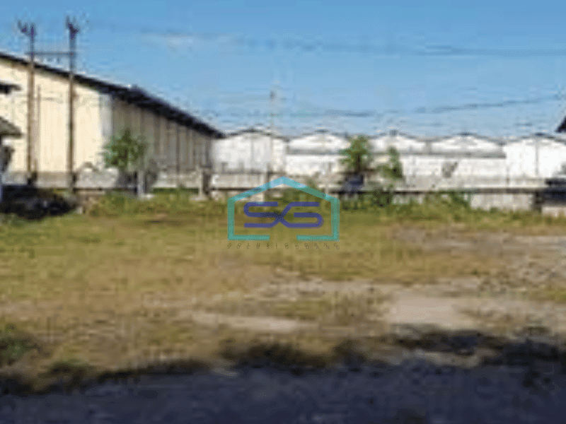 Disewakan Gudang Dilengkapi Kantor Tambak Sawah Sidoarjo Gudang Tambak Sawah Di Sidoarjo