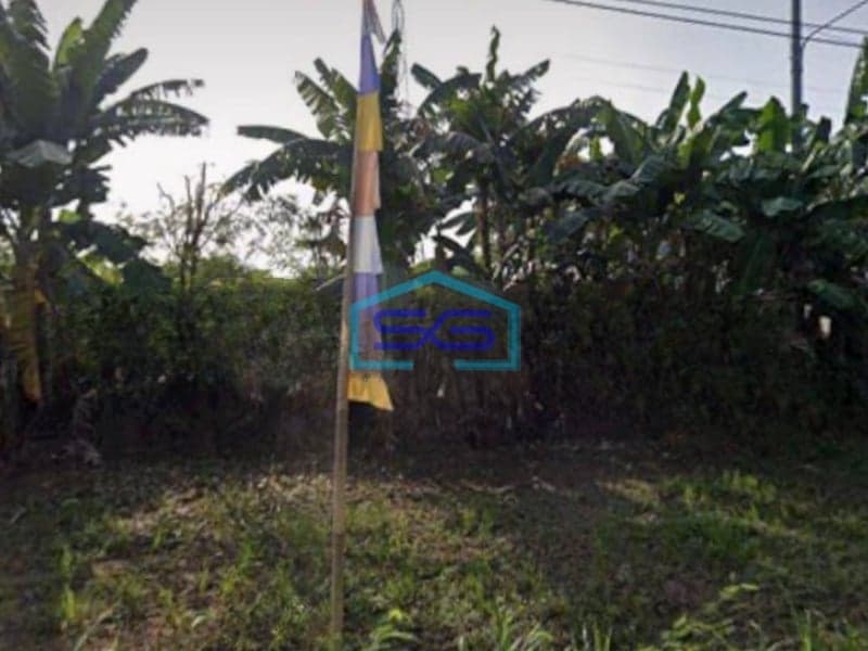 Dijual Tanah Murah 4 Hektar Pinggir Jalan Raya di Sukawangi Bekasi