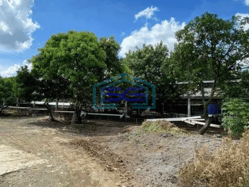 Dijual cepat Tanah Lahan buat usaha atau budidaya ternak