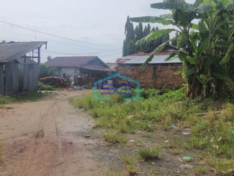 Dijual Tanah Jalan Putri Rambut Selako Bukit Palembang Luas Tanah 1300m2