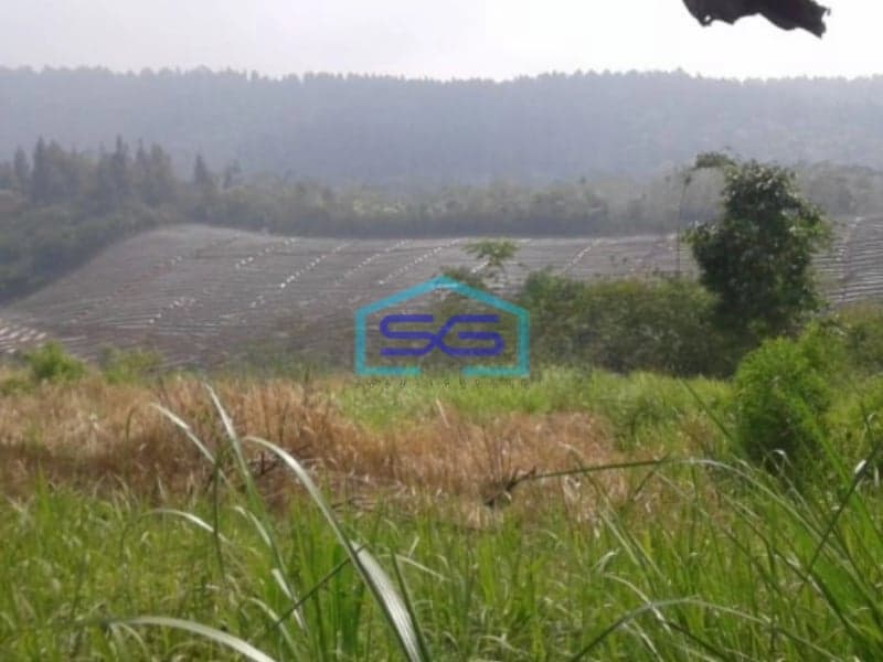 Dijual Tanah di Parakan Salak Sukabumi Luas Tanah 110000m2