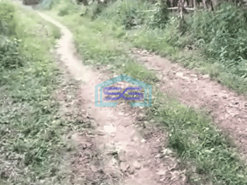 Dijual Tanah Untuk Gudang di Pinggir Jalan Raya Tenjo Bogor