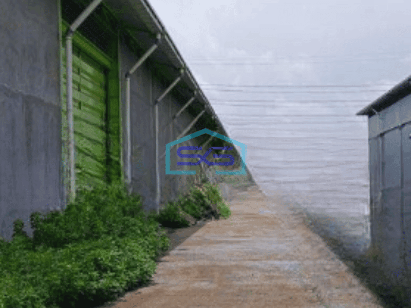 Disewakan Gudang Siap Pakai di Bayur Tangerang Luas Bangunan  1944 m²