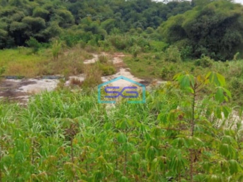 Dijual Tanah Strategis di Cibadak Sukabumi Luas Tanah 120000m2