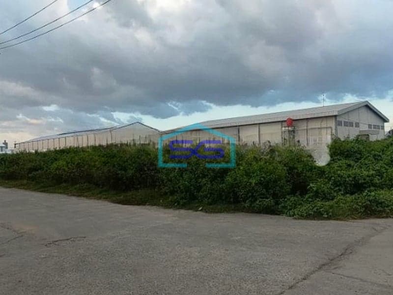 Disewakan Tanah di Pergudangan Pattene Luas Tanah 5000 m² Makassar