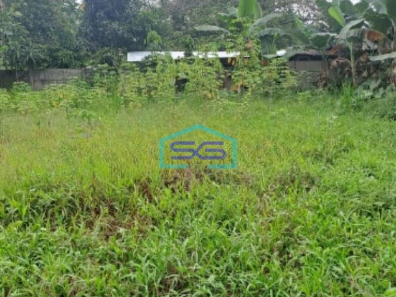 Dijual Tanah Jalan Parung Panjang Rumpin Bogor Luas Tanah 15000m2