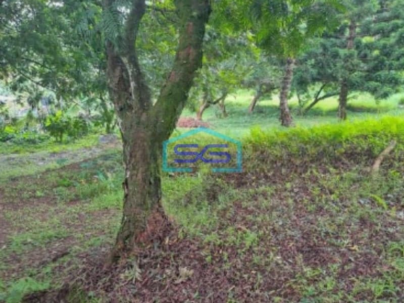 Dijual Tanah Jalan Kawasan Cisarua Bogor Luas Tanah 10000m2