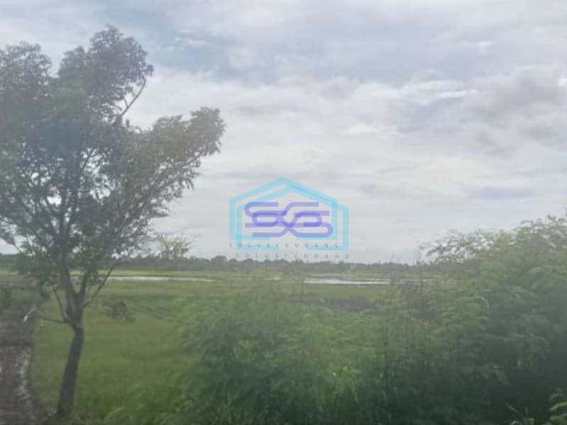 Dijual Tanah Sawah Di Desa Kelebet Kec. Kemiri Kab. Tangerang Luas Tanah  200000 m²