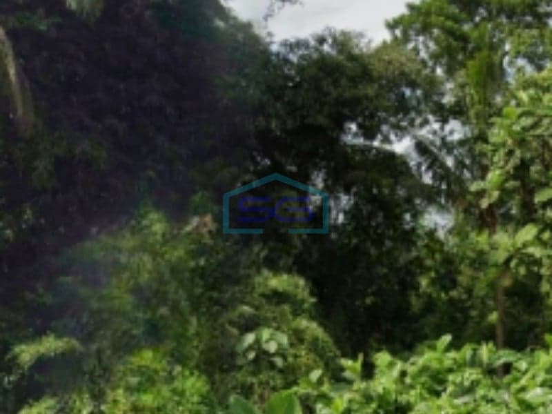 Dijual Tanah Central Ubud Gianyar Bali di Jalan Utama Cocok Segala Usaha LT 2400m2