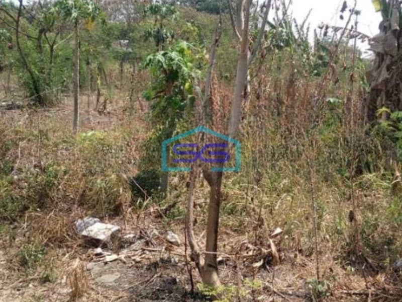 Dijual Pabrik Akses Container 40 Feet Luas Tanah 23936 m2 Lokasi Narogong Bekasi